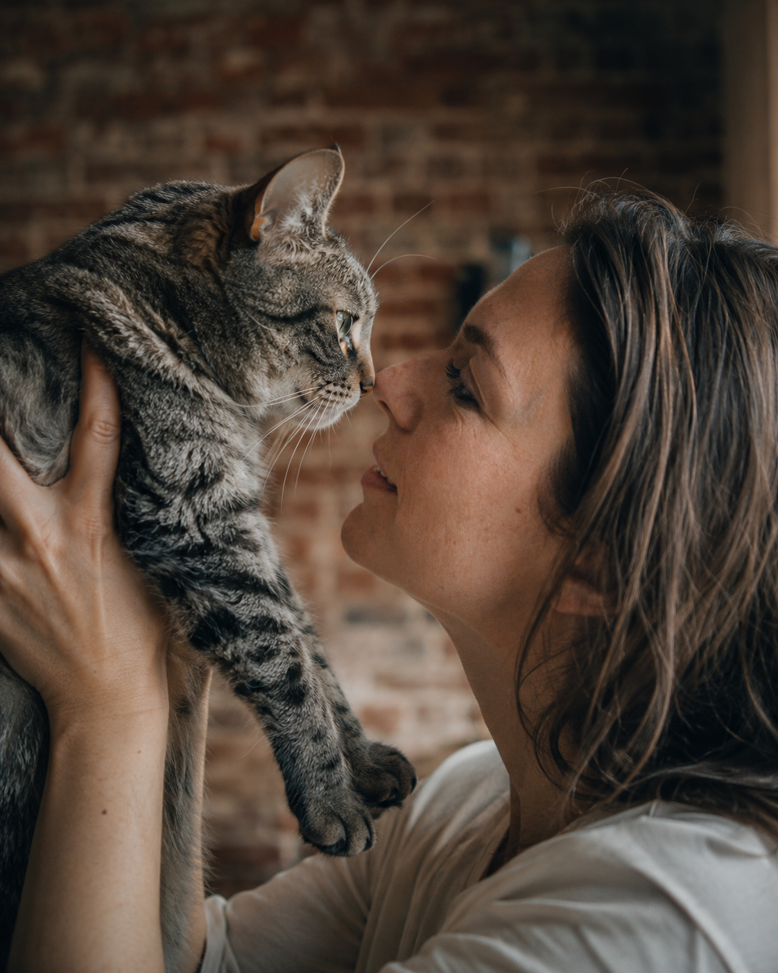 Your Cat Doesn't Think You're Its Baby or Its Parent. The Truth Is Better.