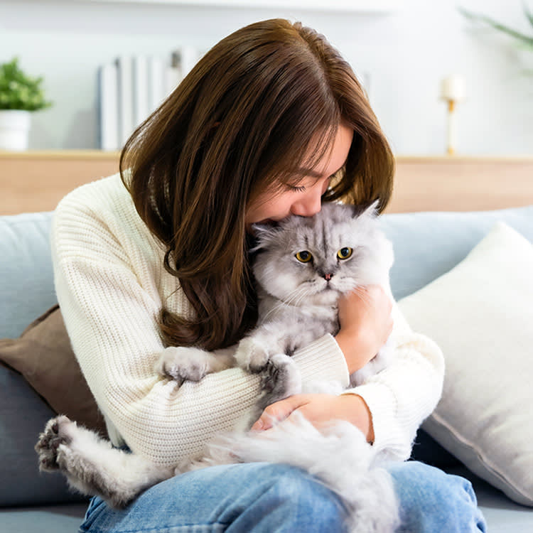 The Cat on Your Lap Isn't the One Who Loves You Most