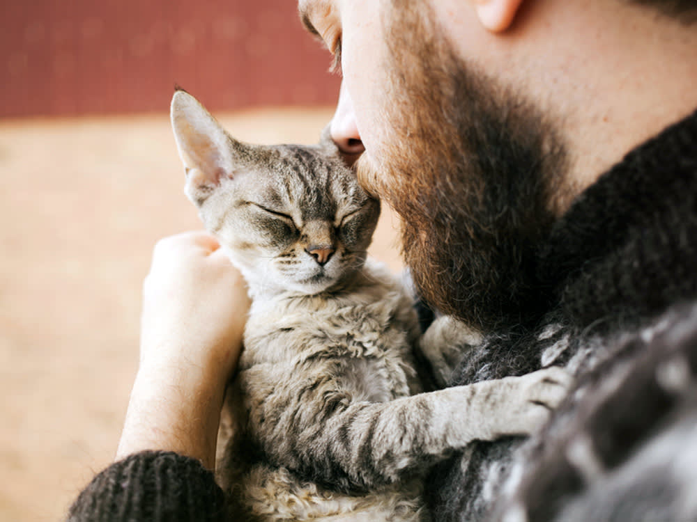 Cats Get Their Own 'Parvo.' The Cat Version Is Often Deadlier.