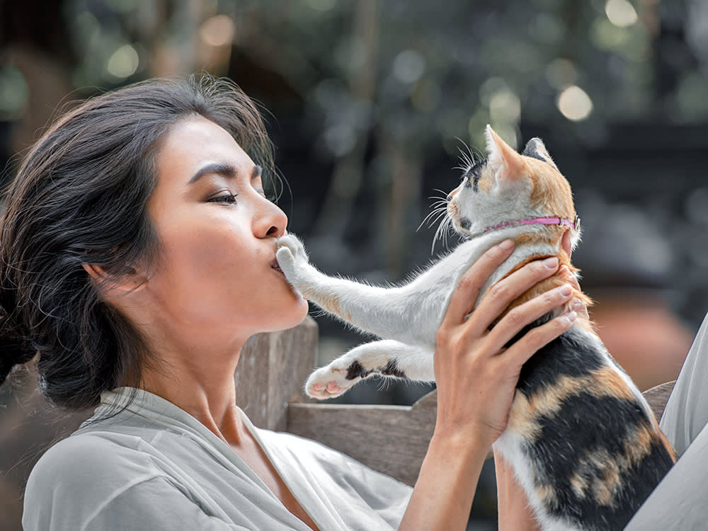 The Paw on Your Mouth at 4 A.M.? You Trained That.