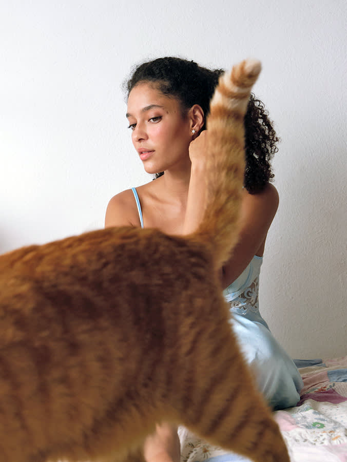Your Cat Peeing on Your Bed Isn't Spite. It's a Symptom.