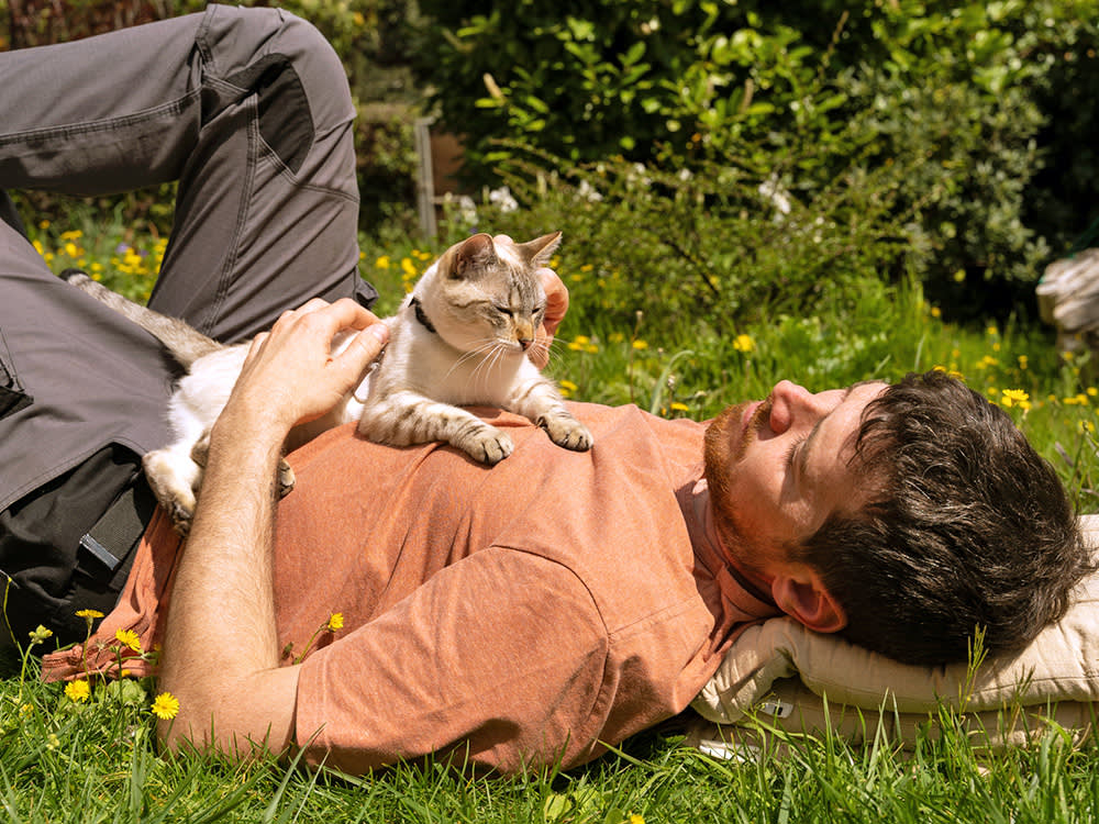 Your Cat's Trust Isn't Affection. It's a Threat Assessment You Keep Passing.