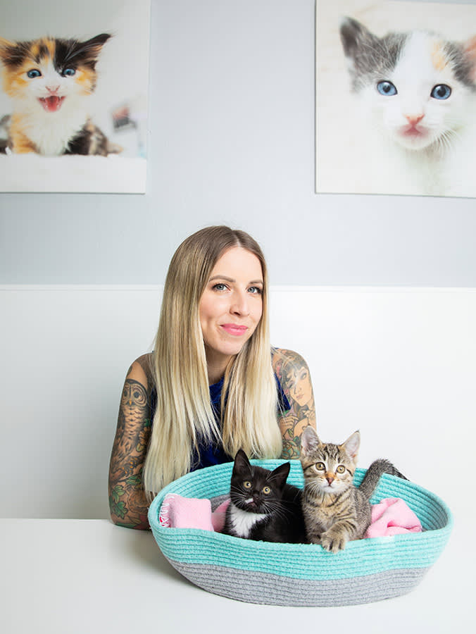 Your Cat Skips the Vet Because of the Car, Not the Bill