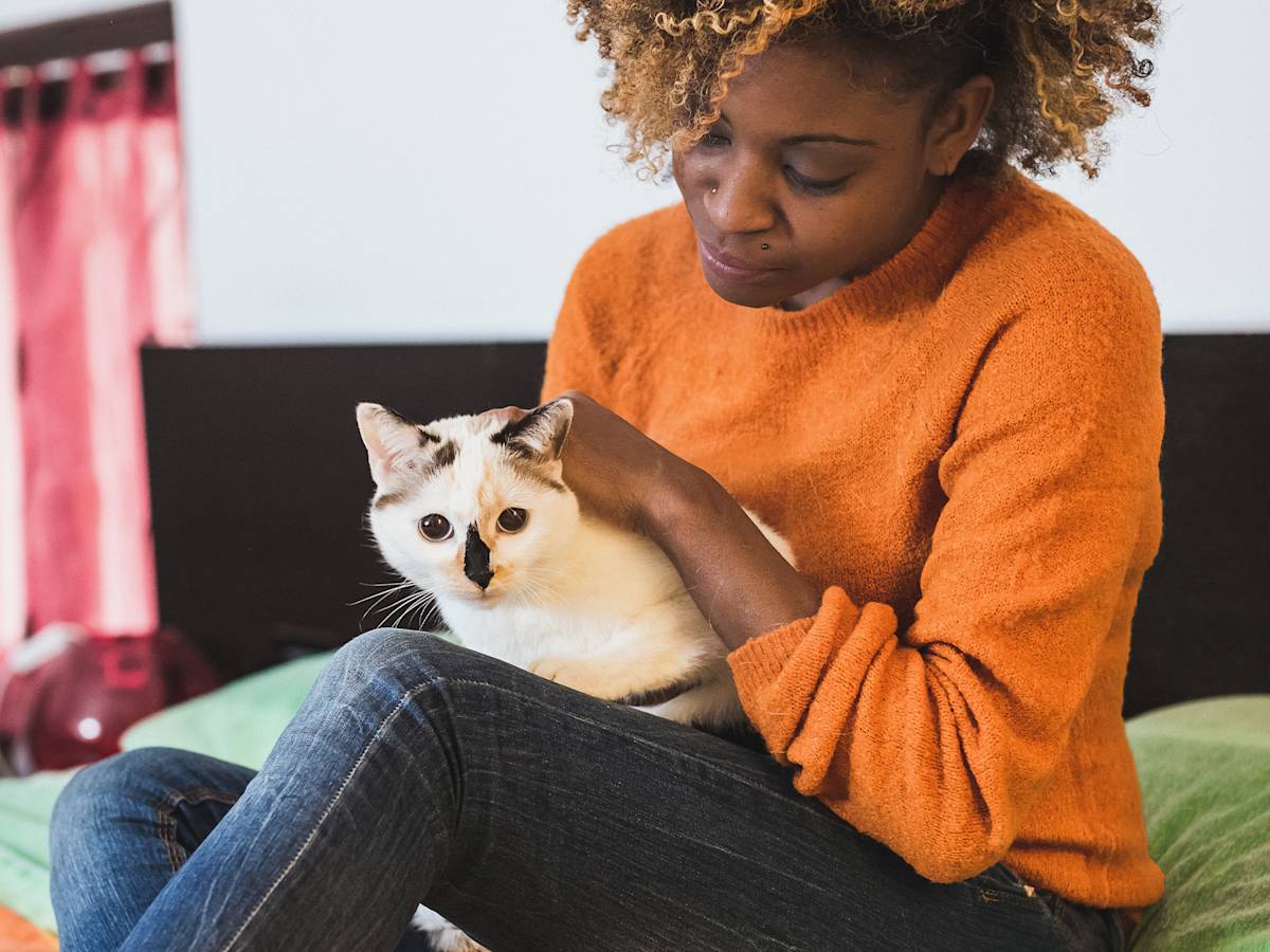 The Scale Is Lying About Your Cat's Weight