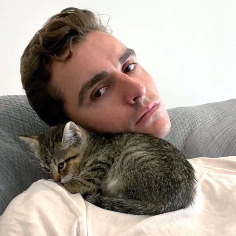 The Year a Cat Won an Oscar — and 6 More Feline Moments That Ruled 2025