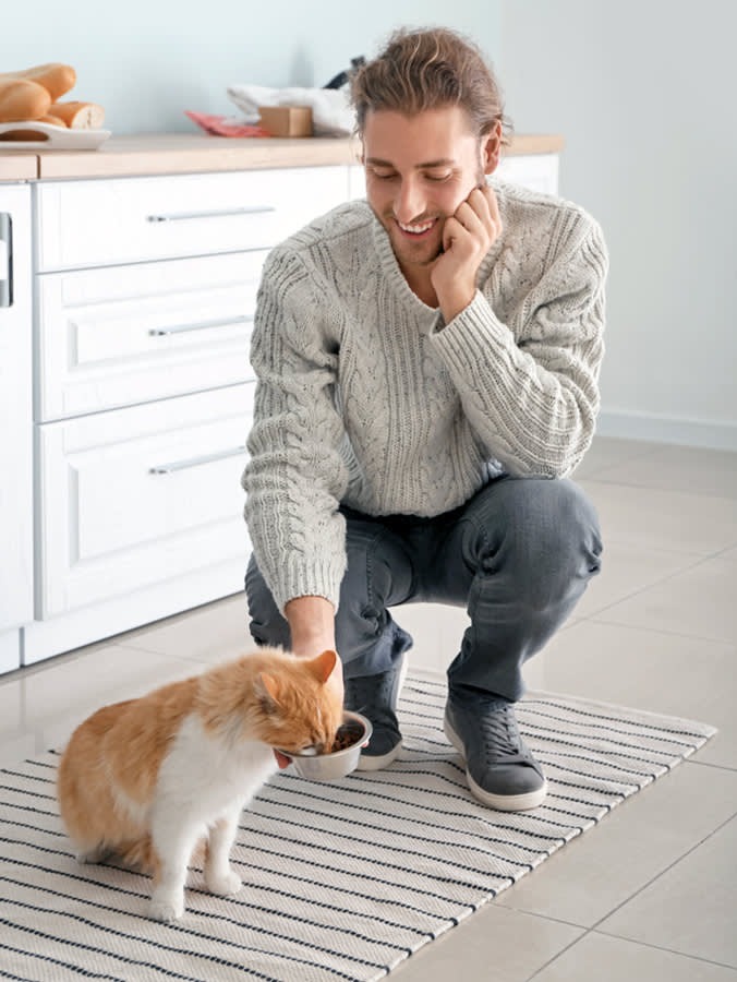 Your Cat Won't Eat Without You. That's Sweet Until It Isn't.