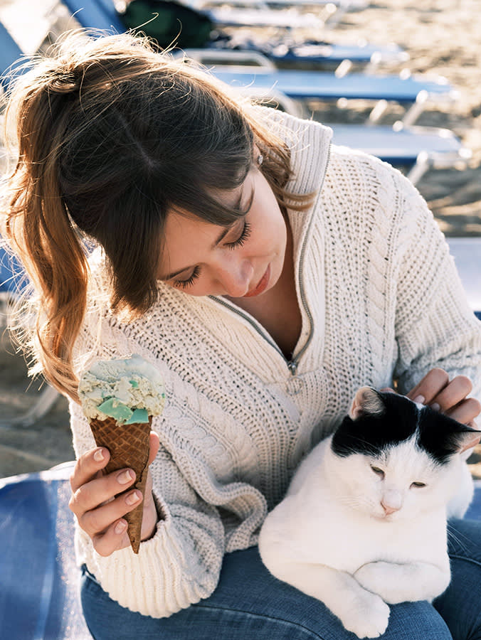 Can Cats Eat Ice Cream? They Can't Even Taste Why You'd Share