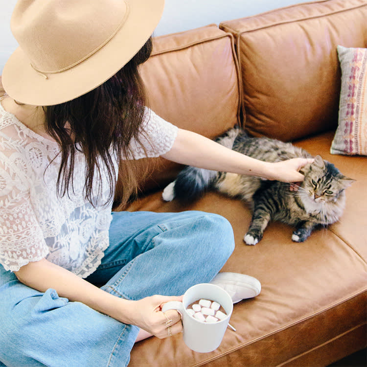 Cats and Marshmallows: The Bag Your Dog Should Worry About More
