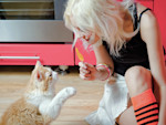 Your Cat Doesn't Want a Popsicle. It Wants What the Popsicle Pretends to Be.