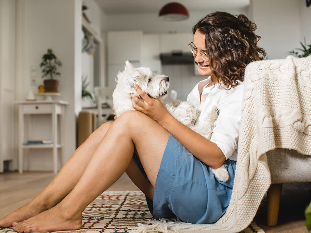 'Certified' Pet Sitter Means Almost Nothing. Here's What Actually Vets One