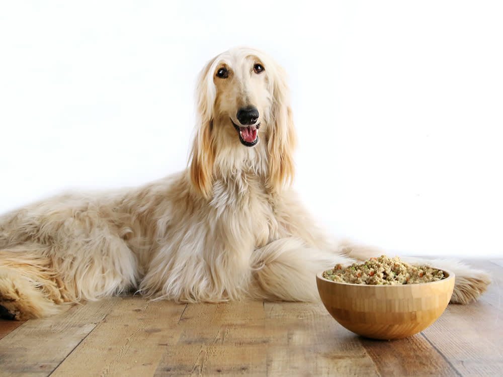 These Vets Cook Your Dog's Dinner From a 2,000-Year-Old Rulebook