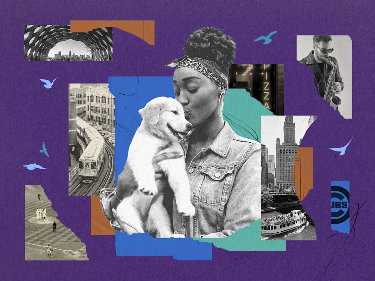 Chicago Treats Dogs Better Than It Treats Tourists