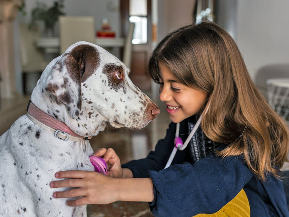 Growing Up With a Dog May Guard Your Gut, Researchers Found