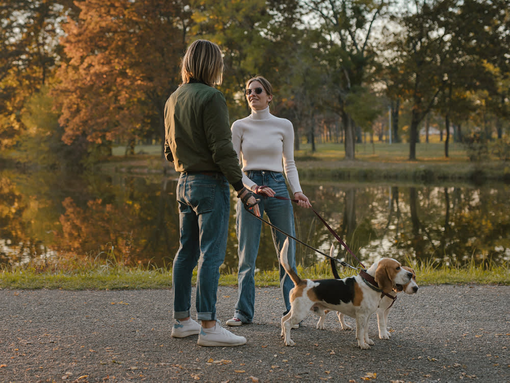 Your Dog Isn't Peeing on His Friend. He's Peeing on the Message Underneath Him.