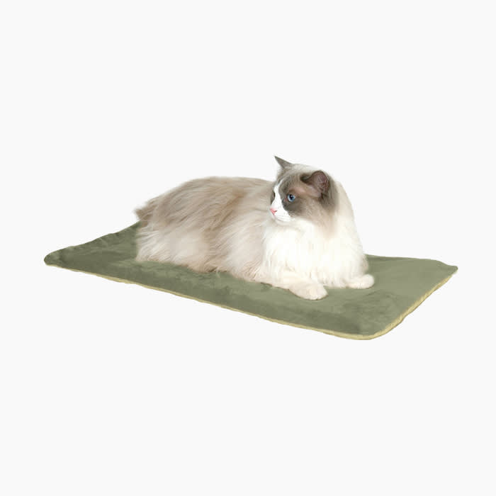 K&H Thermo-Kitty
