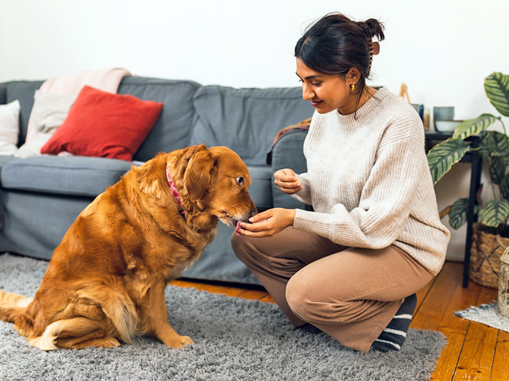 Cranberry Pills Won't Cure Your Dog's UTI. Here's What They Might Do