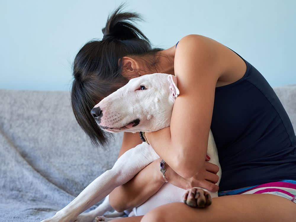 Do Dogs Really Cry Happy Tears? The Truth Is Messier