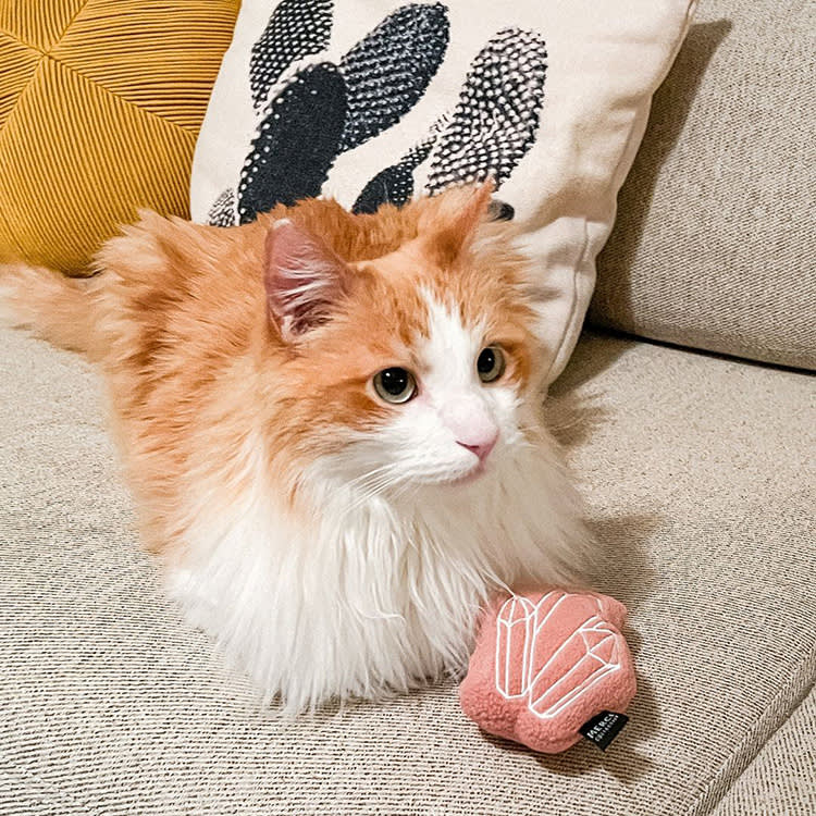 The Crystal Is for You. The Catnip Is for the Cat.