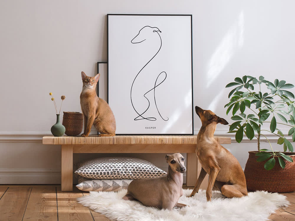 Custom Pet Gifts That Don't Look Like Junk