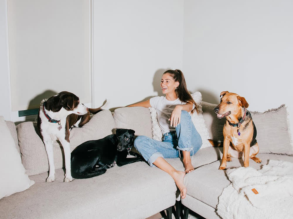 One Supplement Pack Was Never Going to Fit Every Dog. Dandy's Founder Bet a Company on It