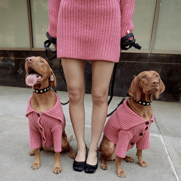 A Designer Dog Collab Lives or Dies on a Hole in the Back