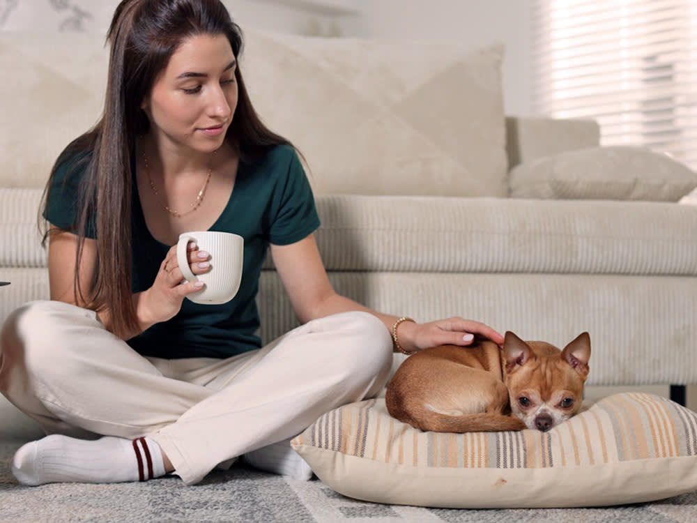 The Distemper Shot Has Side Effects. Reading the List Shouldn't Talk You Out of It.