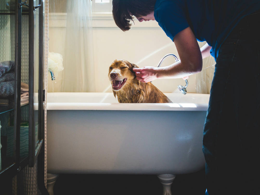 Bath Day Wrecks Your Back Because You're Doing It in the Wrong Room