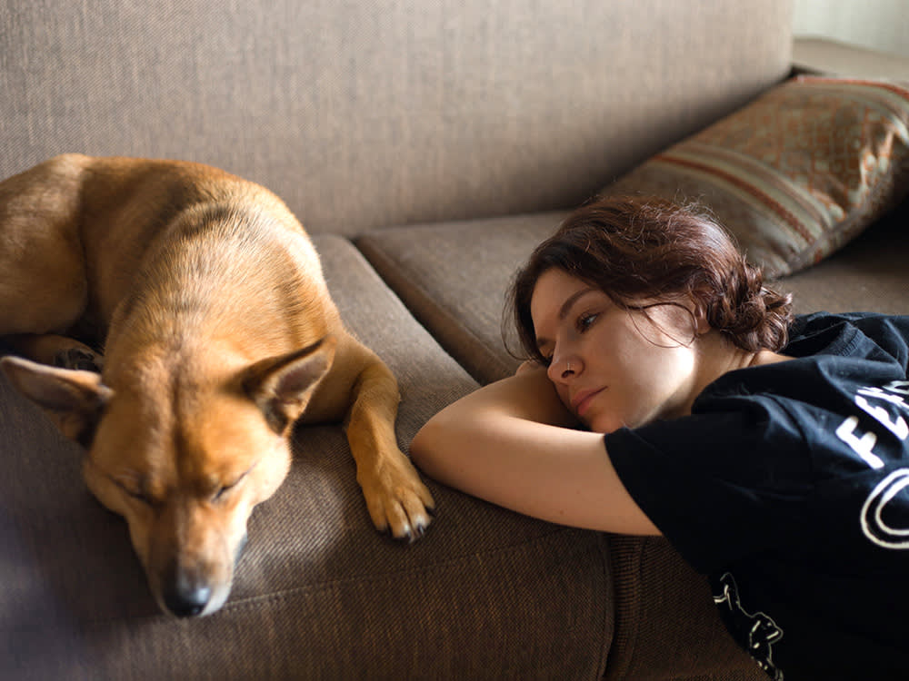 'Will My Dog Ever Love Me?' Is the Wrong Question. Watch What They Choose.