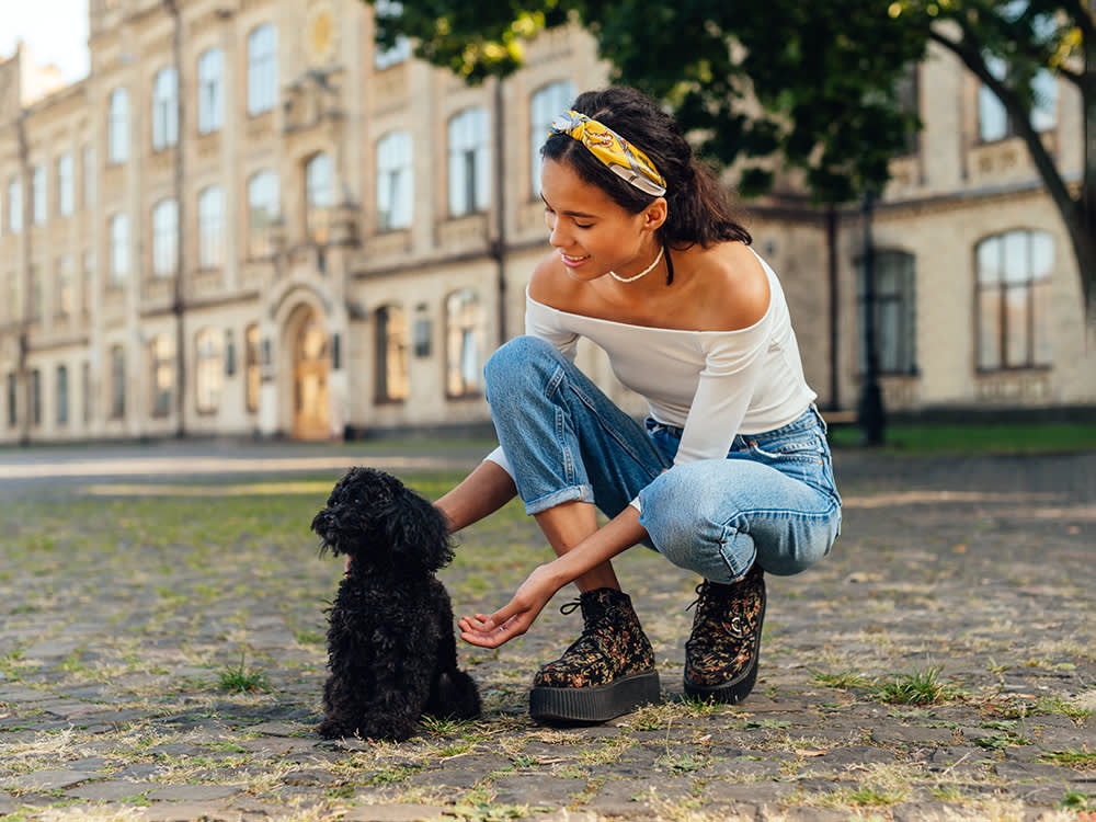 Your Dog Already Knows Your Name. This Game Makes Them Prove It.