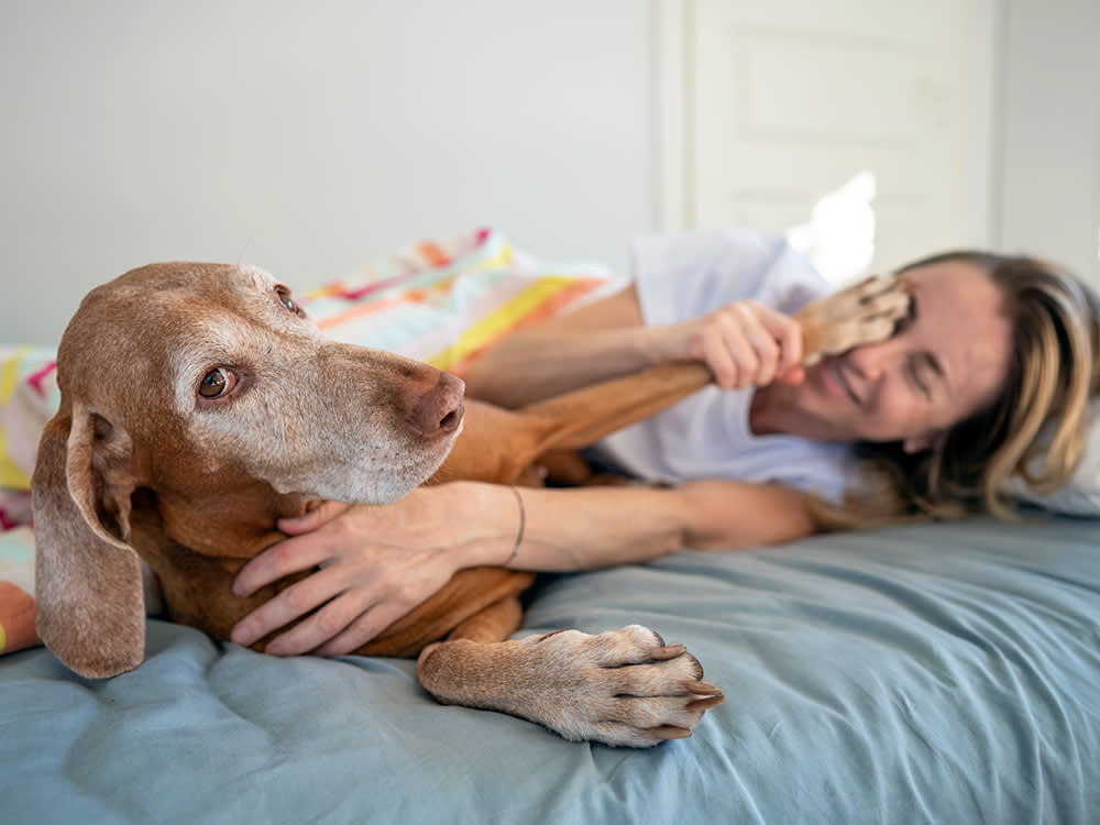 Your Dog Isn't Trying to Dominate You. They're Overwhelmed.