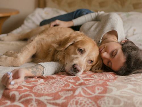 Anxiety Meds Won't Fix Your Dog. They Buy You the Room to.
