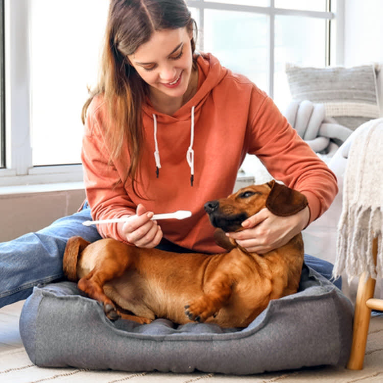 'Dog Breath' Isn't Normal. It's the First Symptom of a Disease You Can Prevent
