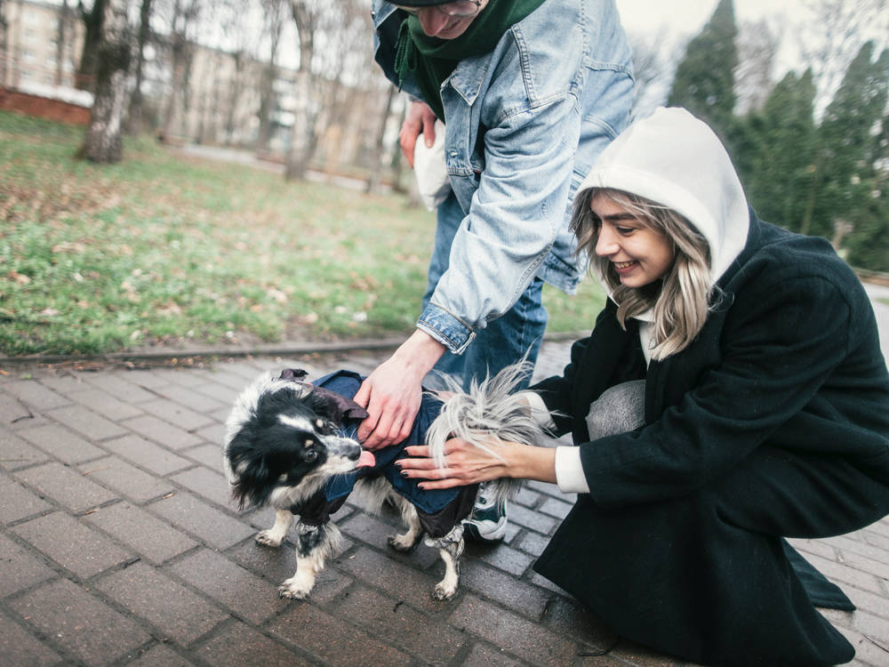 The Butt Scratch Obsession: Your Dog Literally Can't Reach