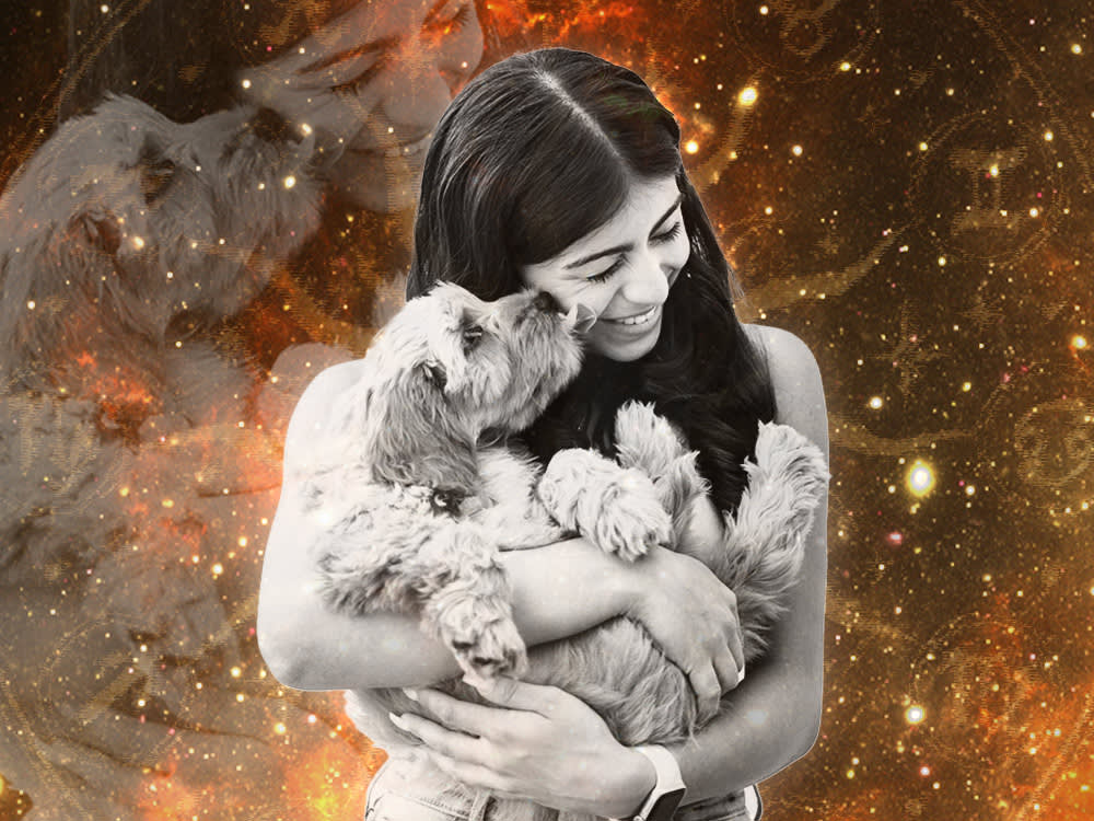Your Dog's Zodiac, Decoded by Element: Find Your Energy Match