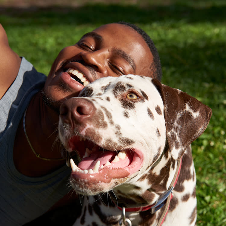 Most Dog 'Dental' Products Just Hide the Smell. These 9 Actually Fight Plaque.