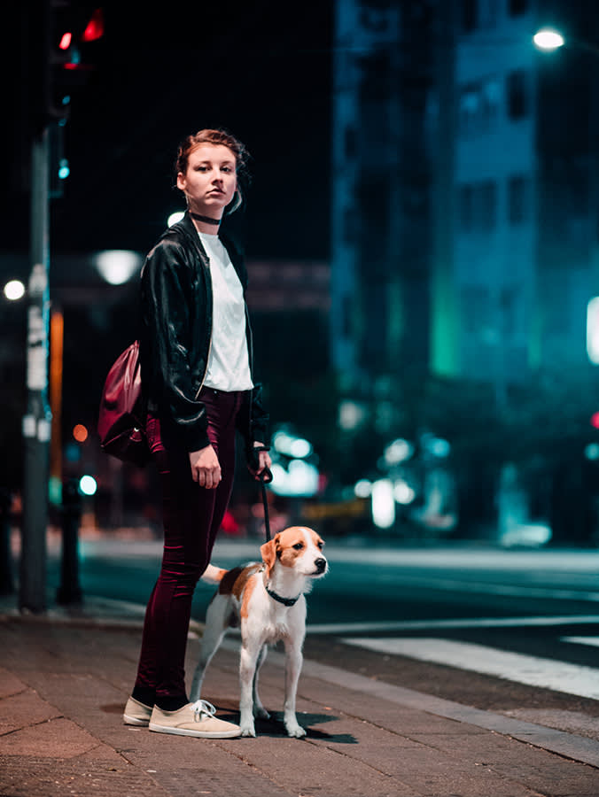 Your Dog Has a Mirror Behind Each Eye. It's Why They See at Night, and Why They See Worse Than You.