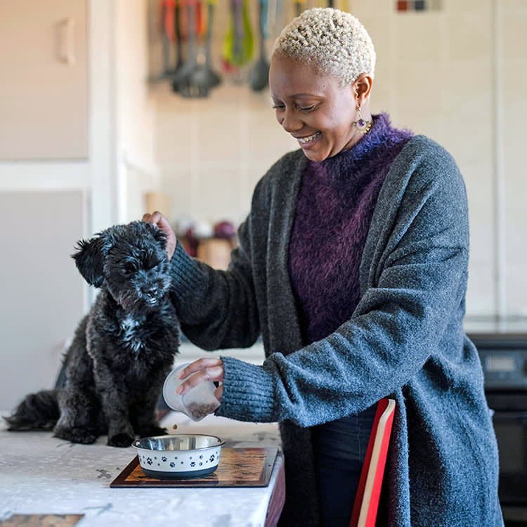 Fiber for Dogs Isn't One Thing. That's Why It Backfires.