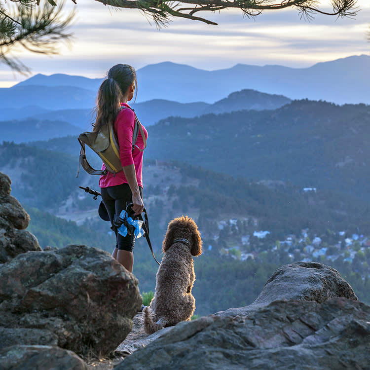 Denver Is a Dog's Town. Here's How to Do It Right.