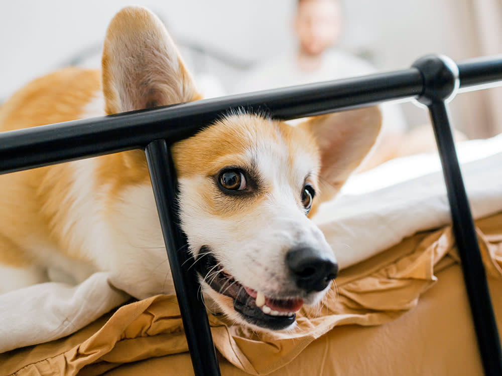 That Crunching Sound Isn't a Quirk. It's a Symptom.