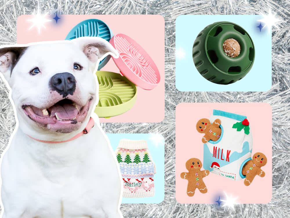 Buy for Your Dog's Size, Not Its Cuteness: 18 Holiday Gifts Done Right
