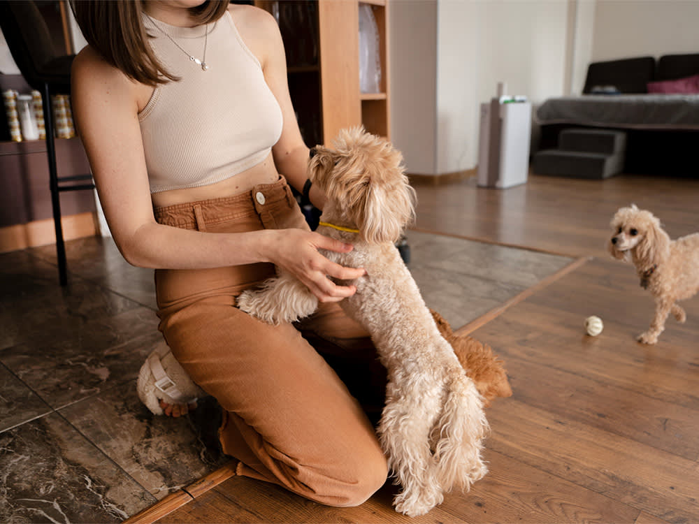 'Imprinting' Is the Wrong Word for What Your Dog Feels