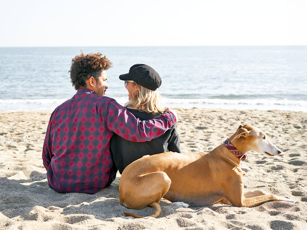 Your Dog Isn't Antisocial. They're an Introvert.