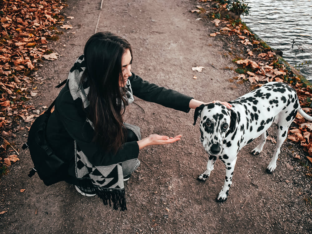 Your Dog Listens Great at Home and Ignores You Outside. Here's the Fix.