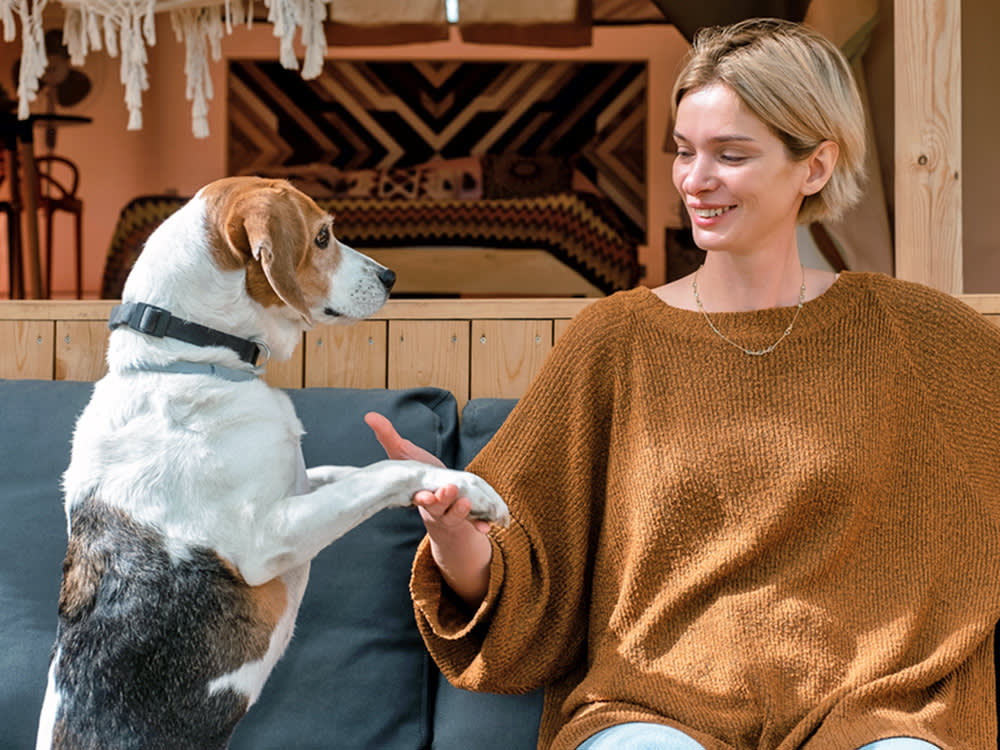 If You Can Hear Your Dog's Nails on the Floor, You're Already Late