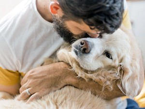 Circling, Head Tilts, Stumbling: When a Dog's 'Off' Day Is Actually Their Brain