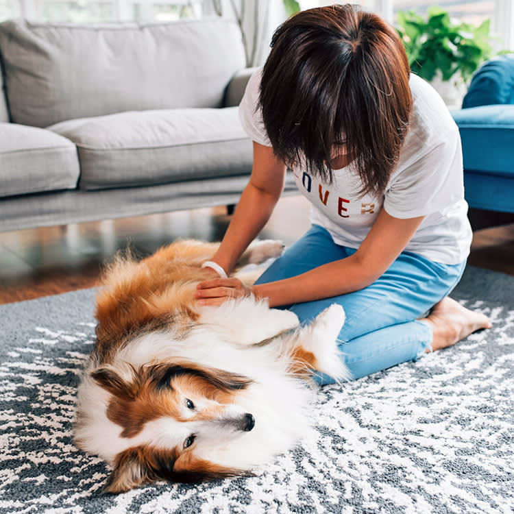 Yes, Male Dogs Have Nipples. The Part That Actually Matters Is Cancer.