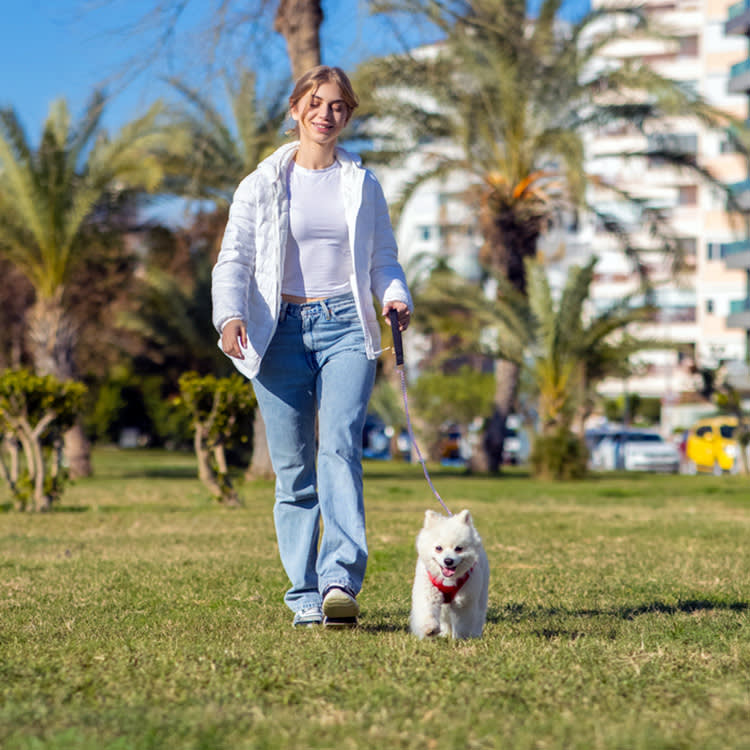 Everyone Blames Nitrogen for Dog Pee Spots. Turf Scientists Found a Second Culprit.
