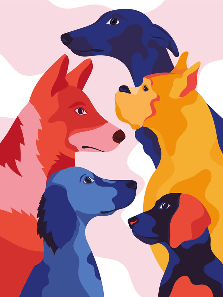 You Didn't Train Your Dog Wrong. They're Just Wired This Way.