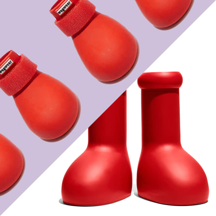 The $350 Viral Boot Sold Out. Your Dog's $49 Version Is Better.
