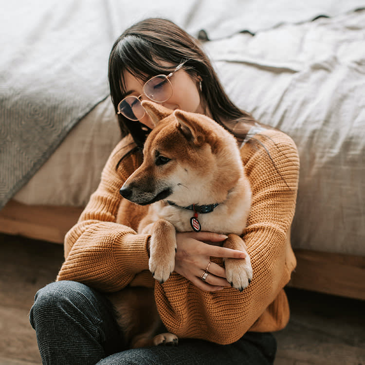 Your Dog Isn't Being Dramatic. They're Having a Panic Attack.